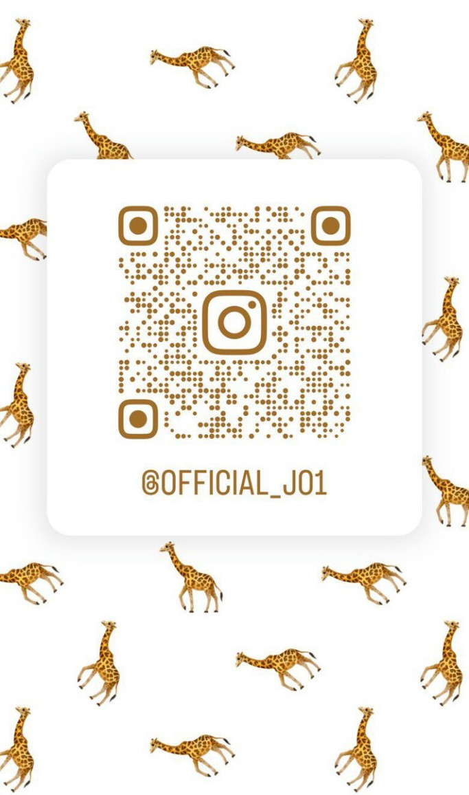 insta feed