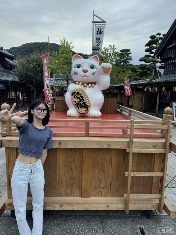 insta feed